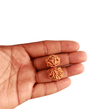 Load image into Gallery viewer, Gaurishanker Nepalese Rudraksha Bead No. - 200