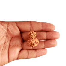 Load image into Gallery viewer, Gaurishanker Nepalese Rudraksha Bead No. - 204