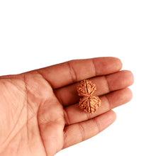 Load image into Gallery viewer, Gaurishanker Nepalese Rudraksha Bead No. - 207