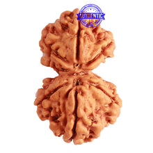 Load image into Gallery viewer, Gaurishanker Nepalese Rudraksha Bead No. - 207