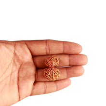 Load image into Gallery viewer, Gaurishanker Nepalese Rudraksha Bead No. - 222
