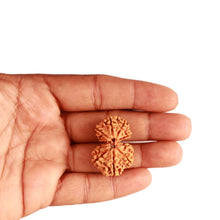 Load image into Gallery viewer, Gaurishanker Nepalese Rudraksha Bead No. - 231