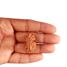 Load image into Gallery viewer, Gaurishanker Nepalese Rudraksha Bead No. - 233