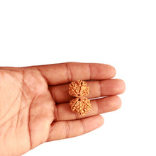 Load image into Gallery viewer, Gaurishanker Nepalese Rudraksha Bead No. - 236
