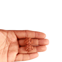 Load image into Gallery viewer, Gaurishanker Nepalese Rudraksha Bead No. - 237