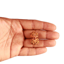 Load image into Gallery viewer, Gaurishanker Nepalese Rudraksha Bead No. - 239