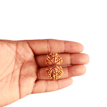 Load image into Gallery viewer, Gaurishanker Nepalese Rudraksha Bead No. - 243