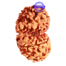 Load image into Gallery viewer, Gaurishanker Nepalese Rudraksha Bead No. - 248