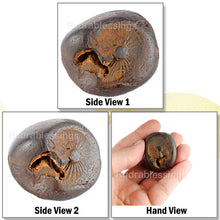 Load image into Gallery viewer, Shaligram - 48
