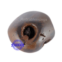 Load image into Gallery viewer, Shaligram - 45