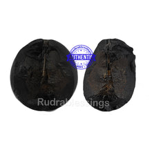 Load image into Gallery viewer, Shivling Shaligram - 12