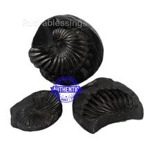 Load image into Gallery viewer, Vishnu Chakra - 25