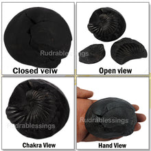 Load image into Gallery viewer, Vishnu Chakra - 25