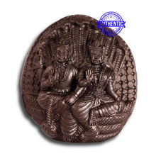 Load image into Gallery viewer, VISHNU LAXMI - 3