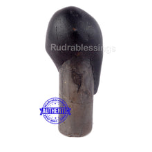 Load image into Gallery viewer, Shaligram - 46