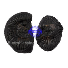 Load image into Gallery viewer, Vishnu Chakra - 20