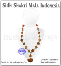 Load image into Gallery viewer, Rudraksha SidhShakti Mala from Indonesia (Big Size beads)
