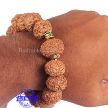 Load image into Gallery viewer, 10 Mukhi Rudraksha Wrist Band - Type 2