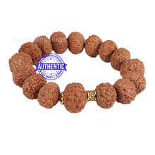 Load image into Gallery viewer, 9 Mukhi Rudraksha Wrist Band - Type 2