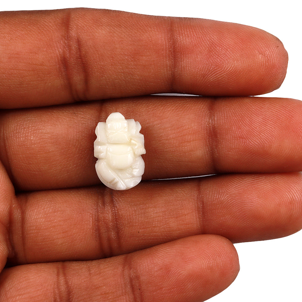 White Coral Moonga Ganesha 22 – Rudra and Sons
