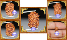 Load image into Gallery viewer, Damru Rudraksha - Bead No. 2