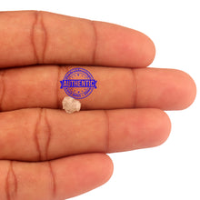 Load image into Gallery viewer, Rough Diamond - 11