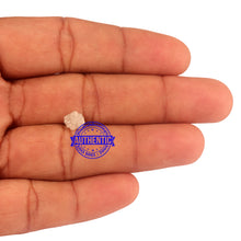 Load image into Gallery viewer, Rough Diamond - 13