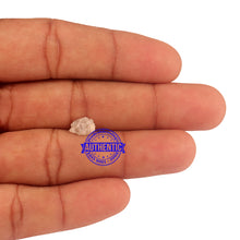 Load image into Gallery viewer, Rough Diamond - 16