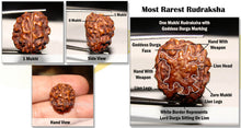 Load image into Gallery viewer, One Mukhi Rudraksha with Goddess Durga Marking