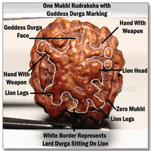 Load image into Gallery viewer, One Mukhi Rudraksha with Goddess Durga Marking