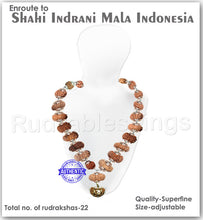 Load image into Gallery viewer, Enroute to Rudraksha Shahi Indrani Mala from Indonesia