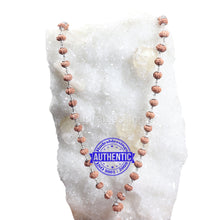 Load image into Gallery viewer, 9 Mukhi with Ganesha Protrusion Mala - 54+1 (Pure Silver)