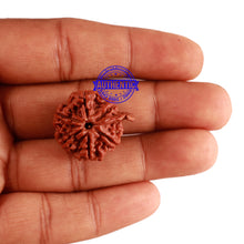 Load image into Gallery viewer, Nepalese Ganesh Rudraksha - Bead No. 171