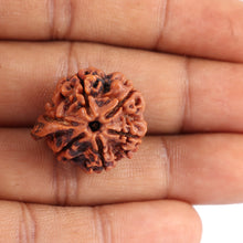Load image into Gallery viewer, Nepalese Ganesh Rudraksha - Bead No. 89