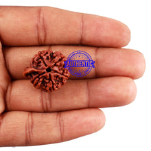 Load image into Gallery viewer, Nepalese Ganesh Rudraksha - Bead No. 97