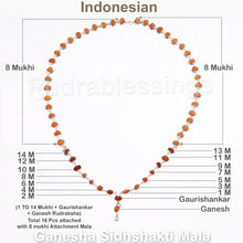 Load image into Gallery viewer, Asthavinayaka Rudraksha SidhShakti Mala from Indonesia (Mini size beads) - 2 (Pure Silver)