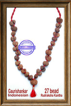 Load image into Gallery viewer, Gaurishanker Rudraksha mala from Indonesia (27 beads )