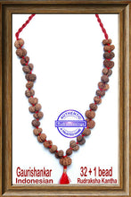 Load image into Gallery viewer, Gaurishanker Rudraksha kantha from Indonesia (32 + 1 beads)