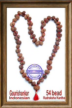 Load image into Gallery viewer, Gaurishanker Rudraksha Mala from Indonesia (54 +1 beads