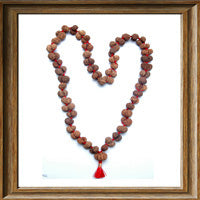Load image into Gallery viewer, Gaurishanker Rudraksha Mala from Indonesia (54 +1 beads