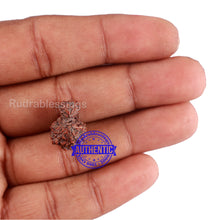 Load image into Gallery viewer, Indonesian Garbh Gauri Rudraksha - Bead No. 11