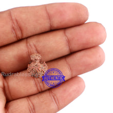 Load image into Gallery viewer, Indonesian Garbh Gauri Rudraksha - Bead No. 13