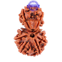 Load image into Gallery viewer, Gaurishanker Nepalese Rudraksha Bead No. 33