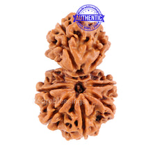 Load image into Gallery viewer, Gaurishanker Nepalese Rudraksha Bead No. 39