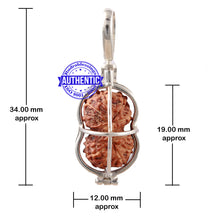 Load image into Gallery viewer, Indonesian Gaurishankar Rudraksha Pendant (Pure Silver) - 4