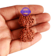 Load image into Gallery viewer, Gaurishankar Rudraksha with Ganesha - Bead No. 189