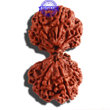 Load image into Gallery viewer, Gaurishankar Rudraksha with Ganesha - Bead No. 189