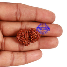 Load image into Gallery viewer, 10 Mukhi Gaurishankar Rudraksha with Ganesha - Bead No. 82