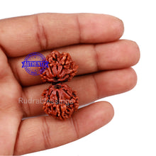 Load image into Gallery viewer, Gaurishankar Rudraksha with Ganesha - Bead No. 45