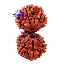 Load image into Gallery viewer, Gaurishankar Rudraksha with Ganesha - Bead No. 45